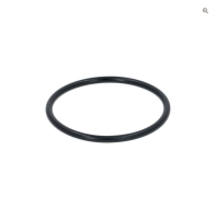 CARPIGIANI Gummi für Pumpe