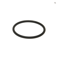 CARPIGIANI Stirndichtung