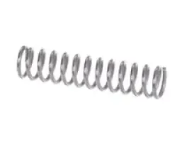 Feder des Auslassventils für Saftmaschine