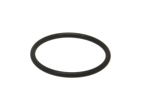 CARPIGIANI Stirndichtung