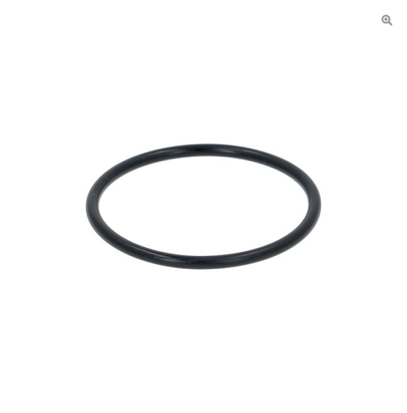 CARPIGIANI Gummi für Pumpe